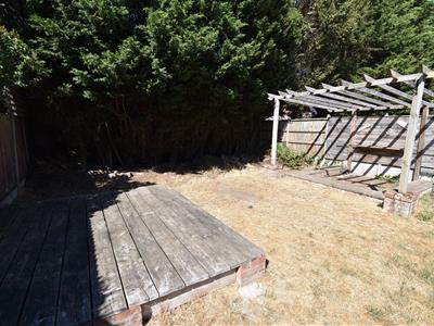 Picture 23